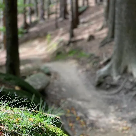 Sun Sea - Rodzinny Pod Gondola Apartmán *