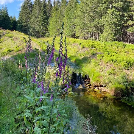Sun Sea - Rodzinny Pod Gondola *