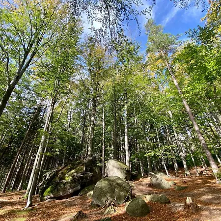 Sun Sea - Rodzinny Pod Gondola Świeradów-Zdrój