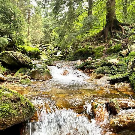 Sun Sea - Rodzinny Pod Gondola Świeradów-Zdrój