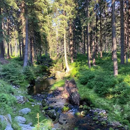 Sun Sea - Rodzinny Pod Gondola Apartmán