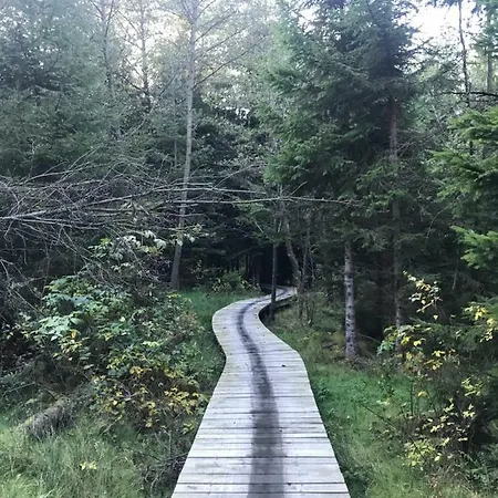 Sun Sea - Rodzinny Pod Gondola