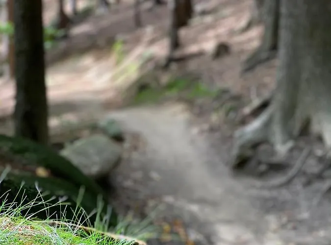 Sun Sea - Rodzinny Pod Gondola Daire *