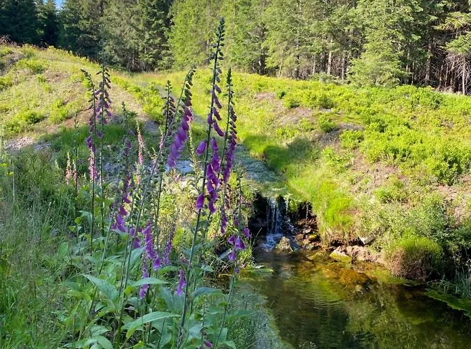 Sun Sea - Rodzinny Pod Gondola *