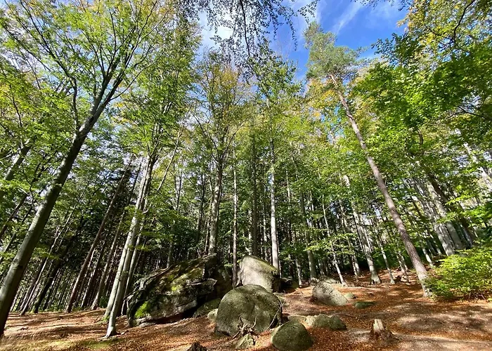 Sun Sea - Rodzinny Pod Gondola Сверадув-Здруй