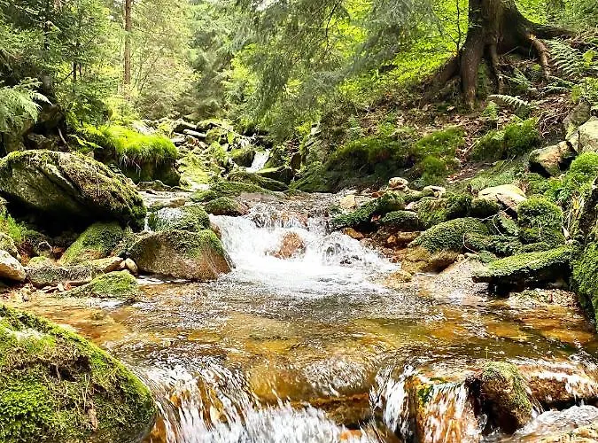Sun Sea - Rodzinny Pod Gondola Сверадув-Здруй