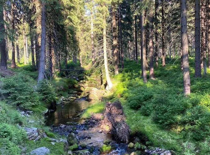 Sun Sea - Rodzinny Pod Gondola Апартаменты