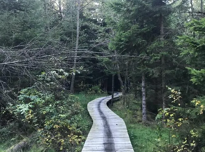 Sun Sea - Rodzinny Pod Gondola