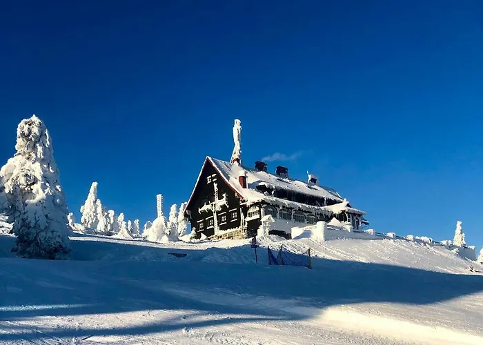 Sun Sea - Rodzinny Pod Gondola Daire *